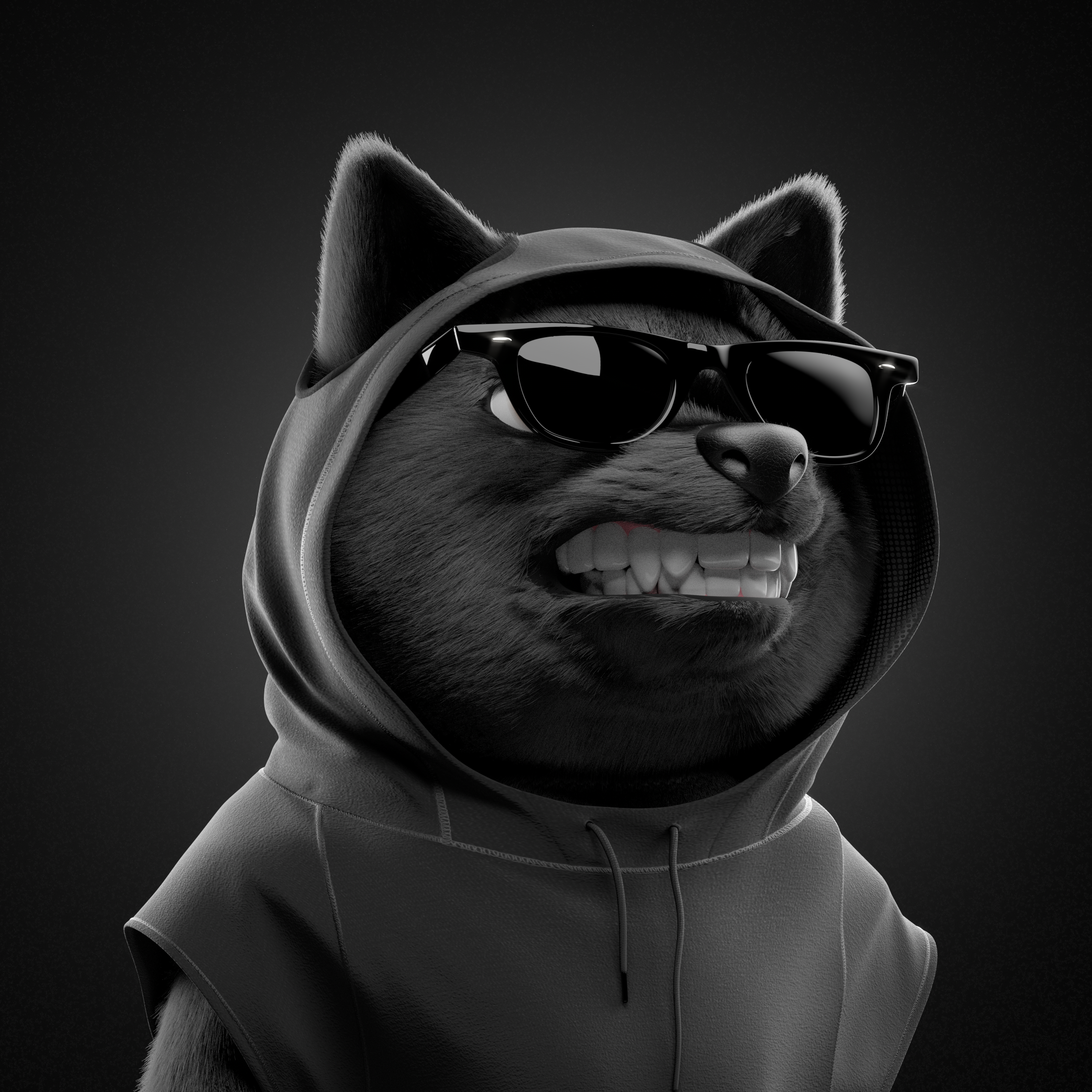 Baby Shiba #1164