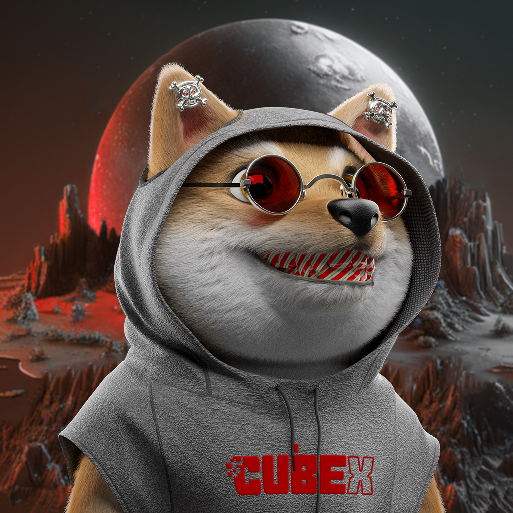Baby Shiba #6206