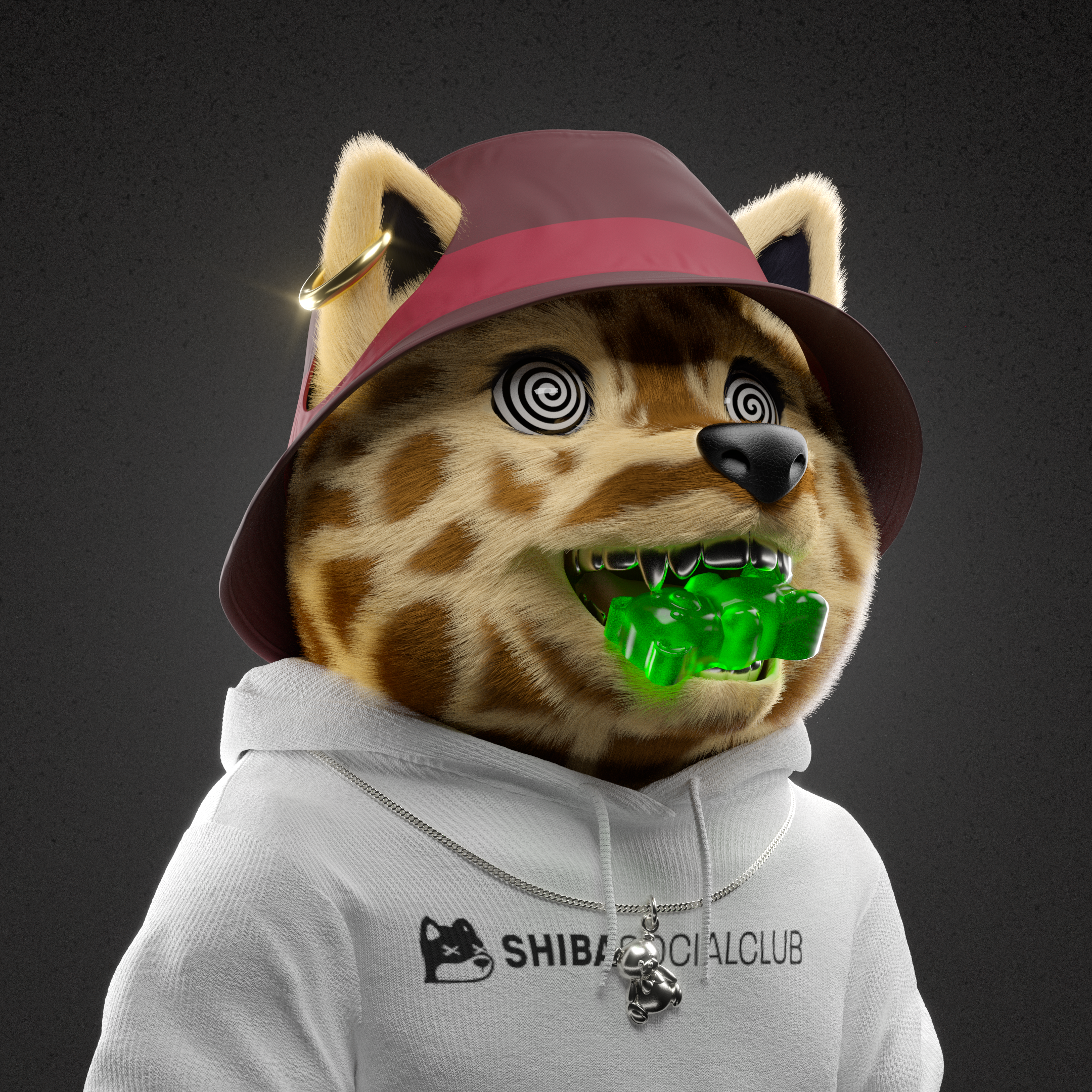 Baby Shiba #4990