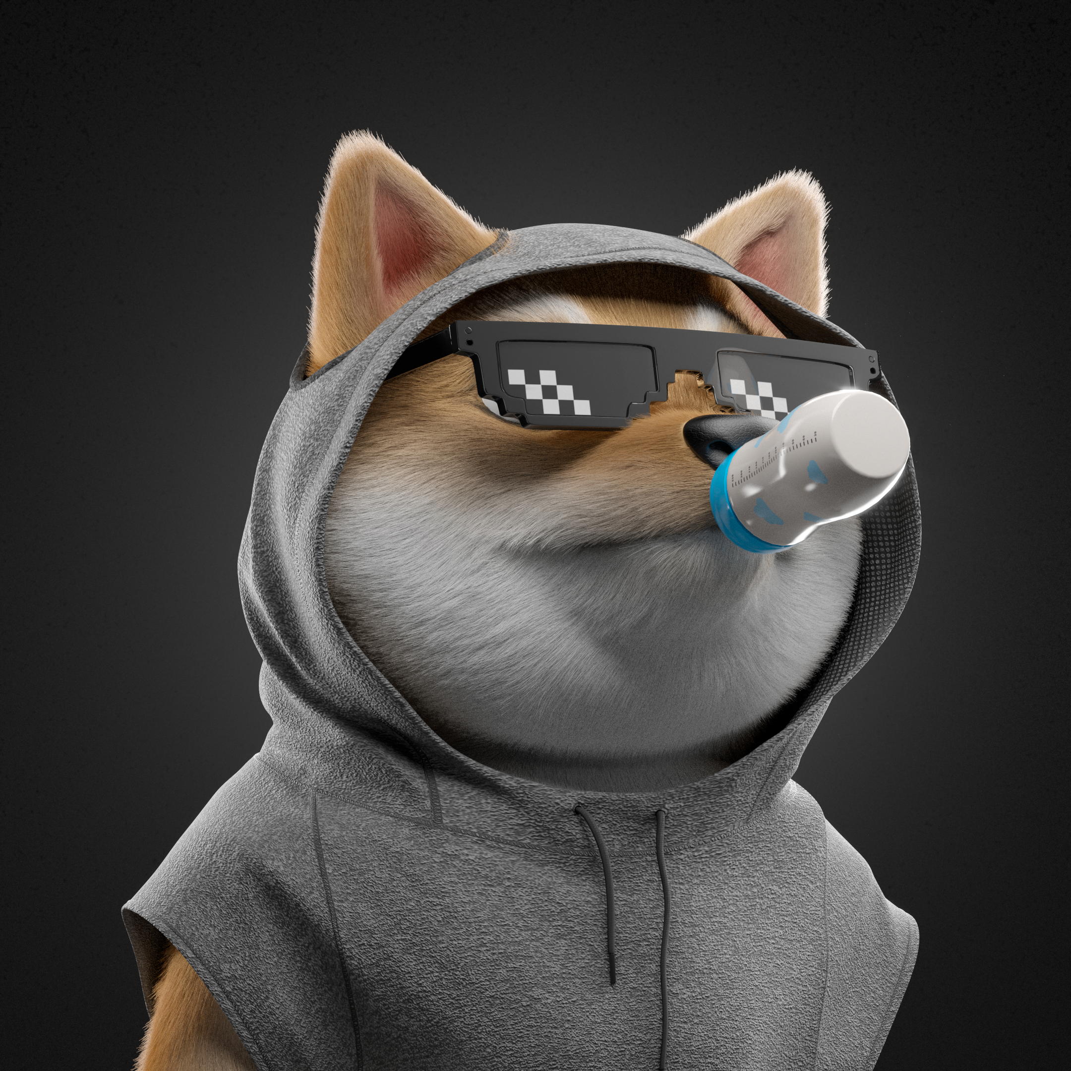 Baby Shiba #5210