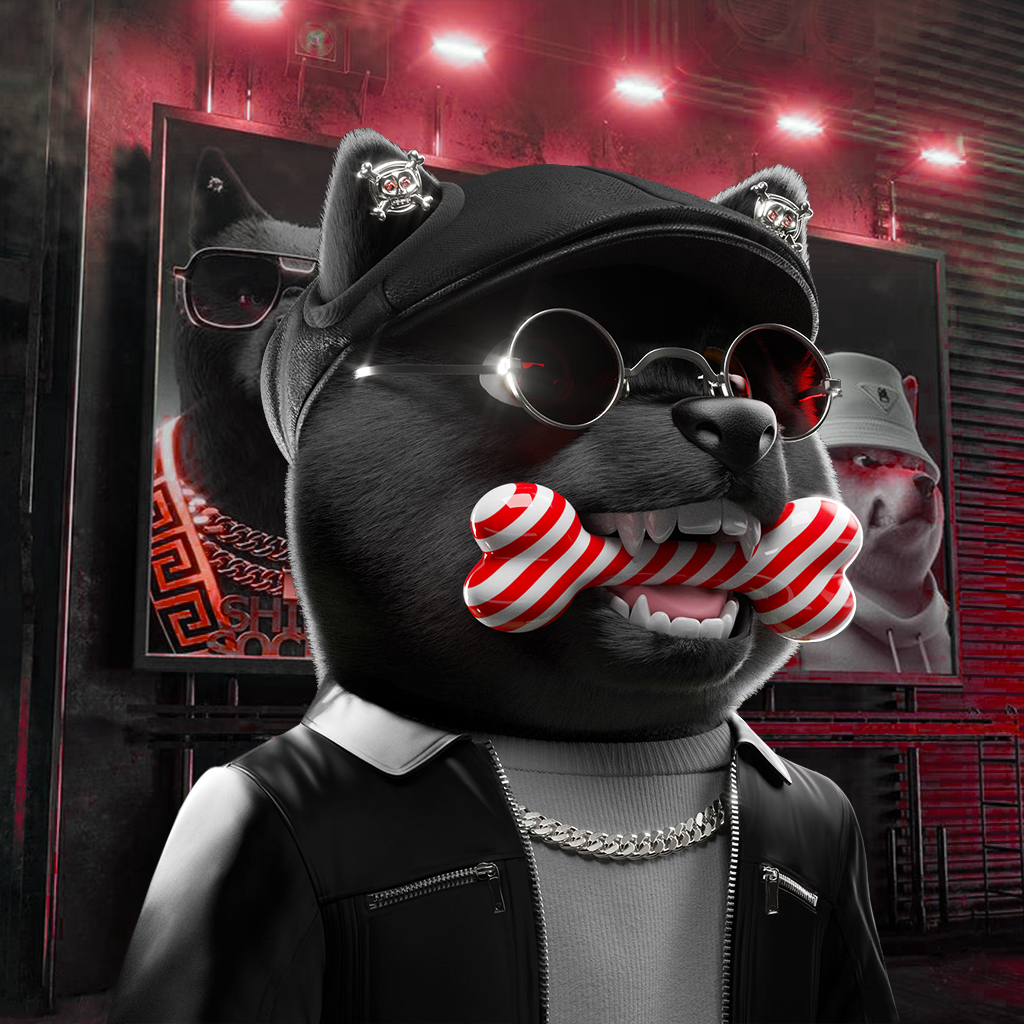 Baby Shiba Pinnacle #12